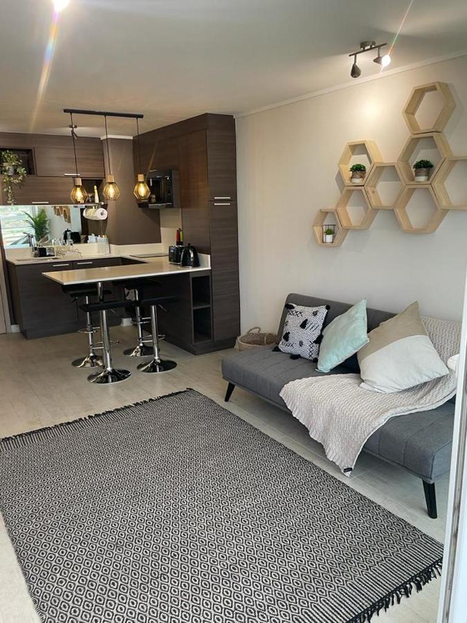 Apartamento Departamento De Lujo Estacionamiento Privado Y Cocina Integral